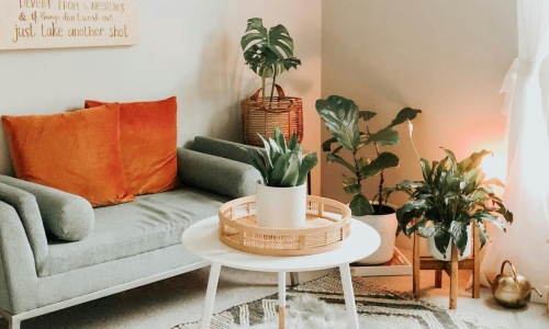 a living room with a couch and a table with plants