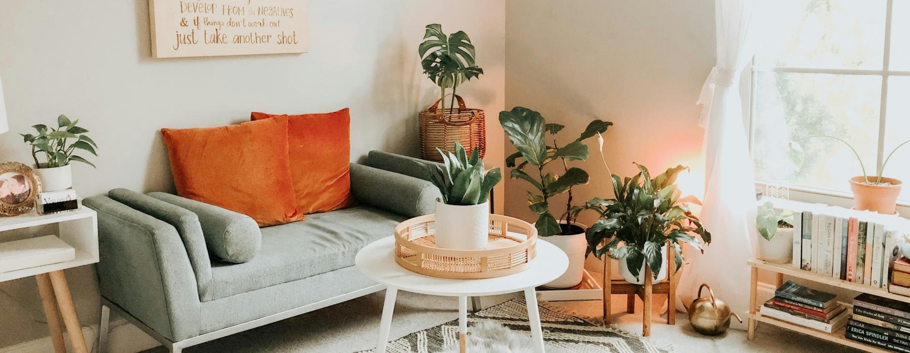 a living room with a couch and a table with plants