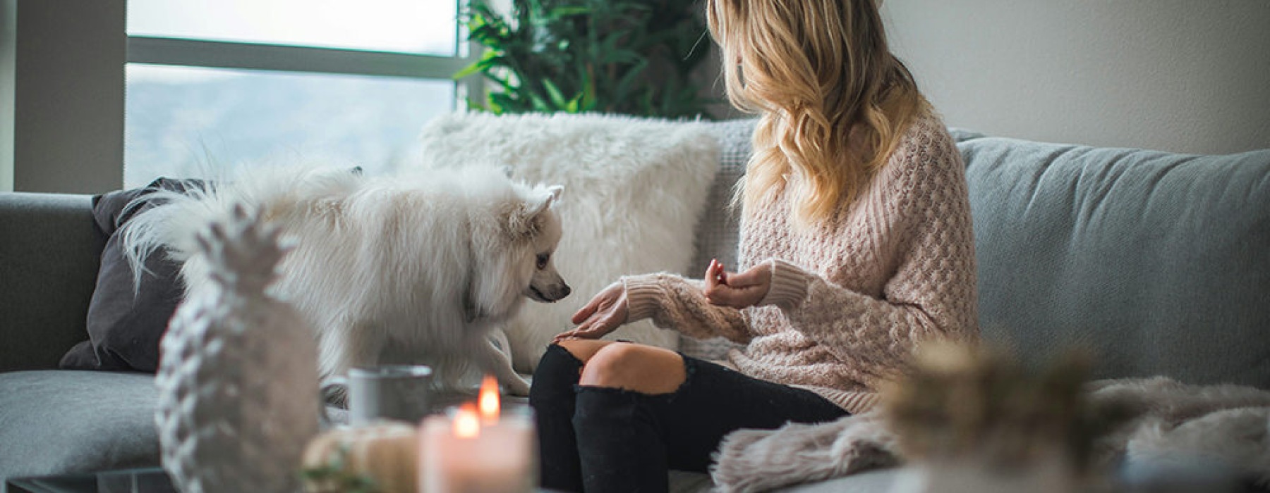 a person on the couch with a dog