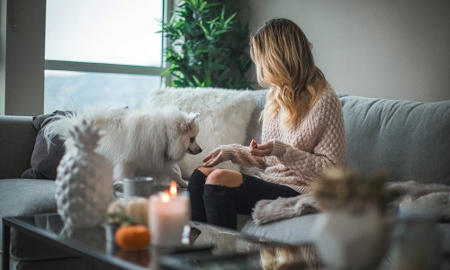 a person on the couch with a dog